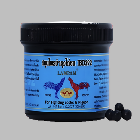 Lampam - IBD 292